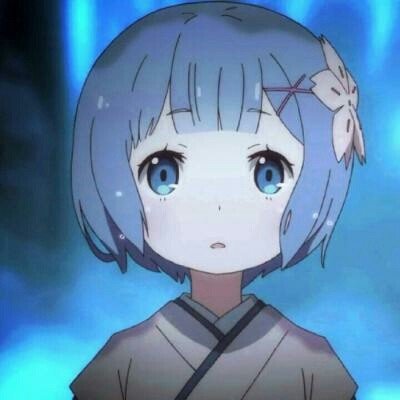小伙弄丢了免费领养的猫被要求赔2万